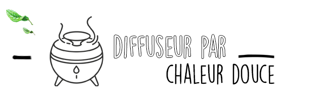 Huile Essentielle de Niaouli en Diffusion : Le Guide Complet par Olyaris